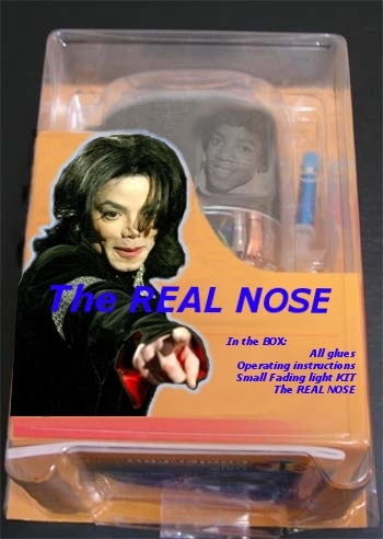 Illustration for article titled 28 Items You Won't Find at Michael Jackson's Neverland Ranch Auction